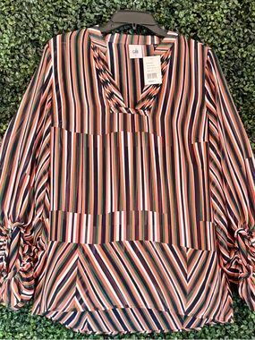 CAbi Multicolor Striped V-Neck Long-Sleeve Blouse